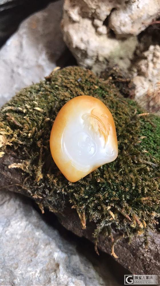 籽料一夜封侯吊坠_吊坠和田玉