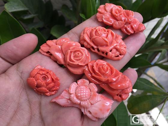 momo珊瑚花儿_花件珊瑚
