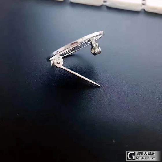 秀一秀 这枚   胸针_胸饰