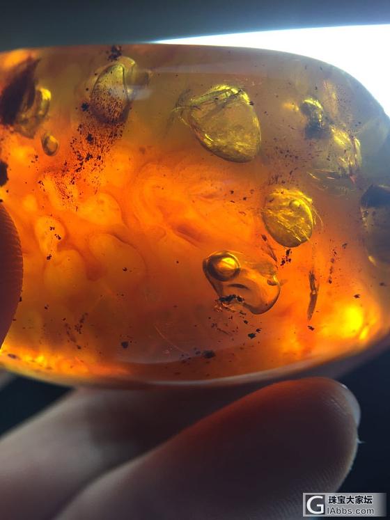 溶盐水胆_琥珀蜜蜡