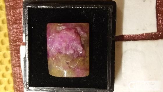 樱花舒俱来好看吗?_舒俱来