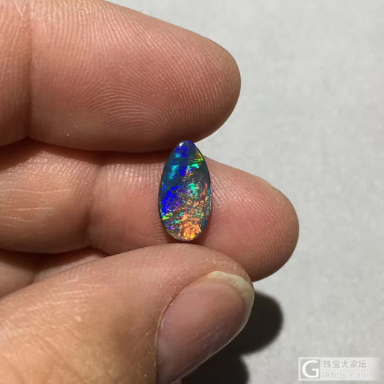 美欧泊来袭_欧泊