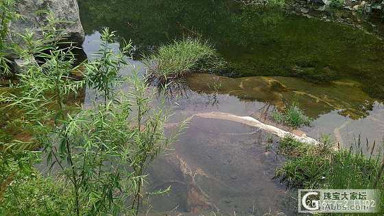 今天没水…随便水下不断更…_泰安摄影