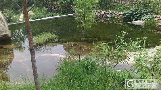 今天没水…随便水下不断更…_泰安摄影