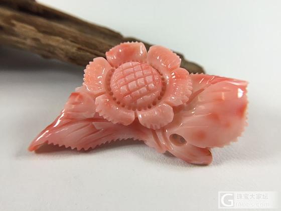 momo珊瑚雕花 胸针吊坠发夹_挂件珊瑚