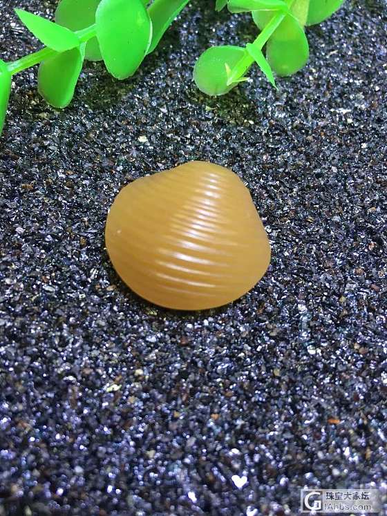 精工小贝壳🐚230_挂件和田玉