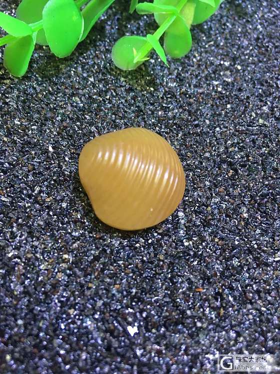 精工小贝壳🐚230_挂件和田玉