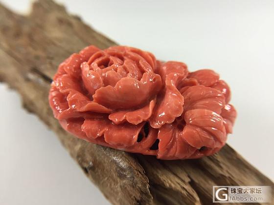 momo牡丹花 吊坠 胸针_花件珊瑚
