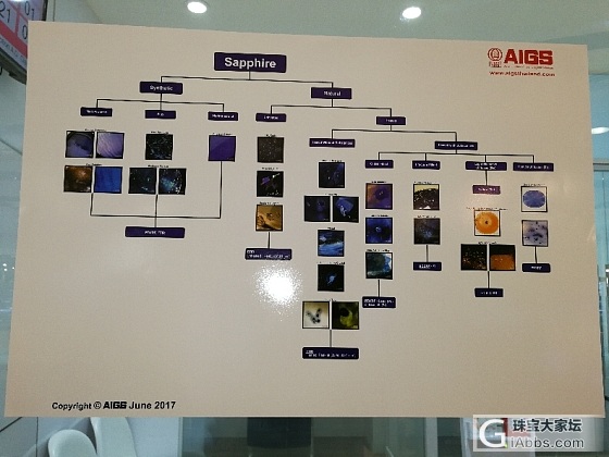 AIGS首次公开红蓝宝鉴定图解_机构证书