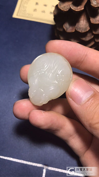 和田玉籽料龙龟_挂件和田玉