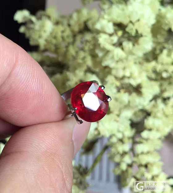 ##中颐天然无烧鸽血红红宝石## 4.56ct_刻面宝石红宝石中颐彩色宝石