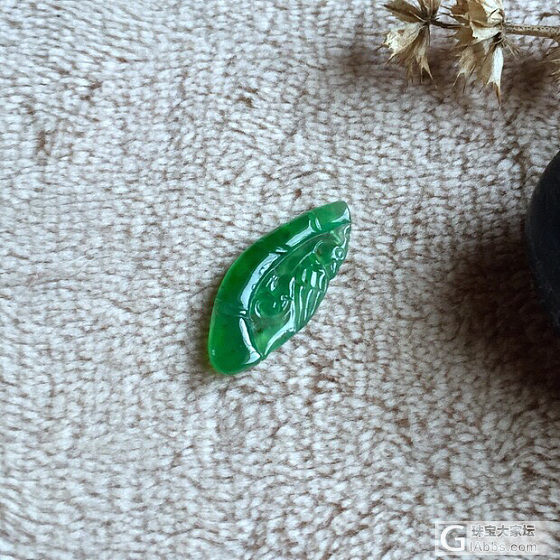 水润艳绿一只小鹦鹉_戒面翡翠