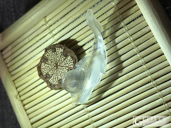 懒洋洋_翡翠