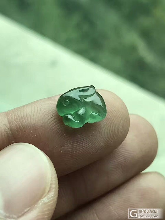 萌宠_戒面翡翠