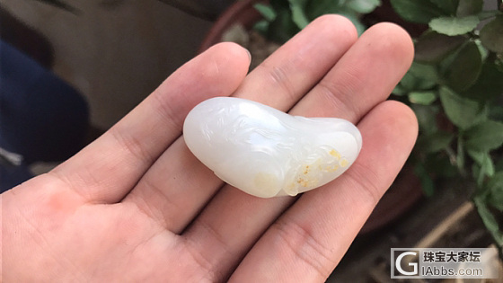 籽料系列荷花----_和田玉