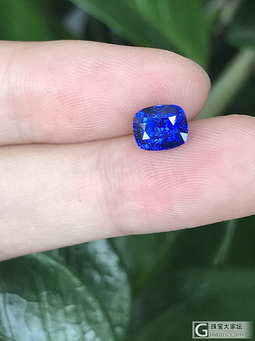 这矢车菊像不像皇家蓝？_刻面宝石蓝宝石