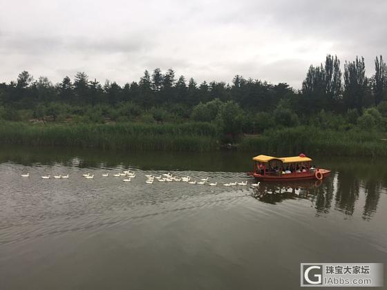 带着父母去旅行_山西省旅游