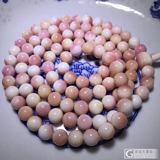 胭脂螺_珠串贝壳