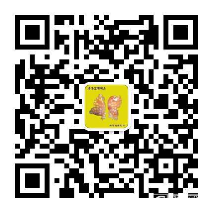 珊瑚玉手镯_手镯珊瑚玉