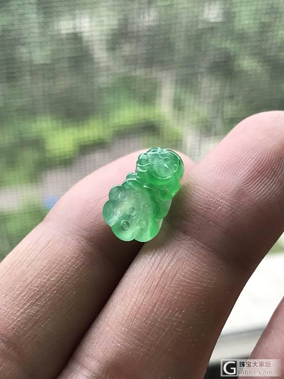 晒晒小莲蓬_挂件翡翠