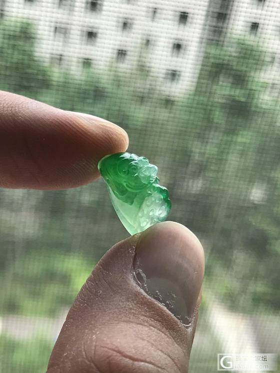 晒晒小莲蓬_挂件翡翠