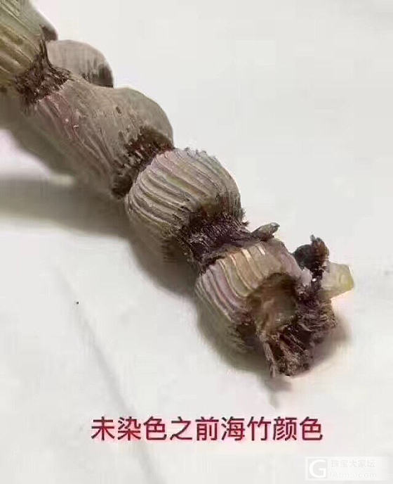 真假红珊瑚_珊瑚