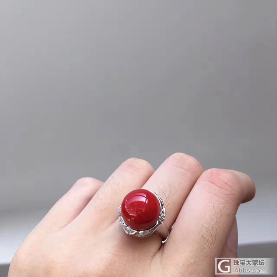 阿卡戒指_戒指珊瑚