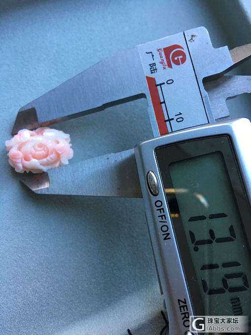 珊瑚_戒面珊瑚