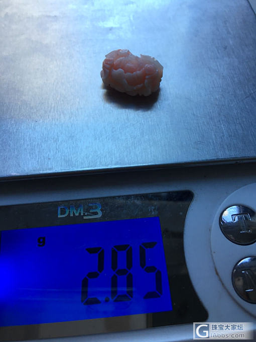 珊瑚_戒面珊瑚