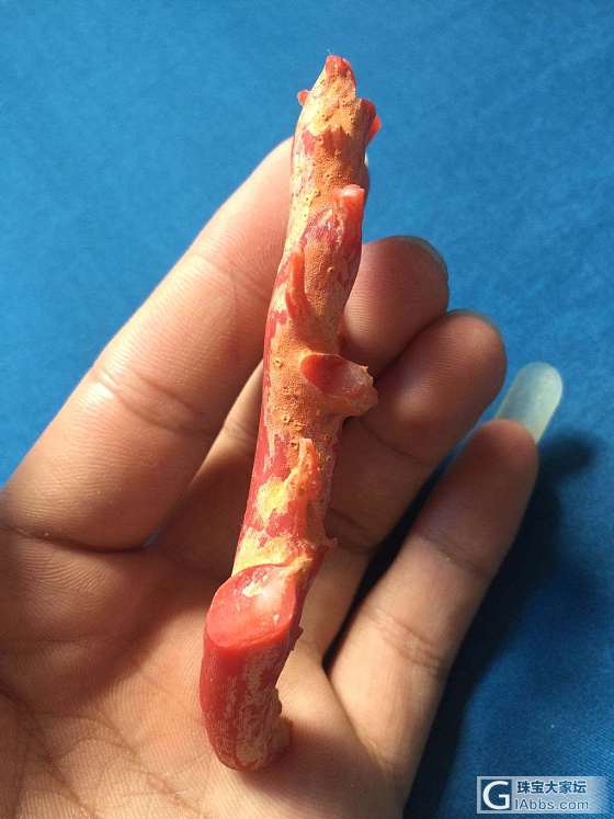 阿卡红珊瑚辣椒红有机宝石原枝可以镶嵌磨戒面做原枝_原石珊瑚