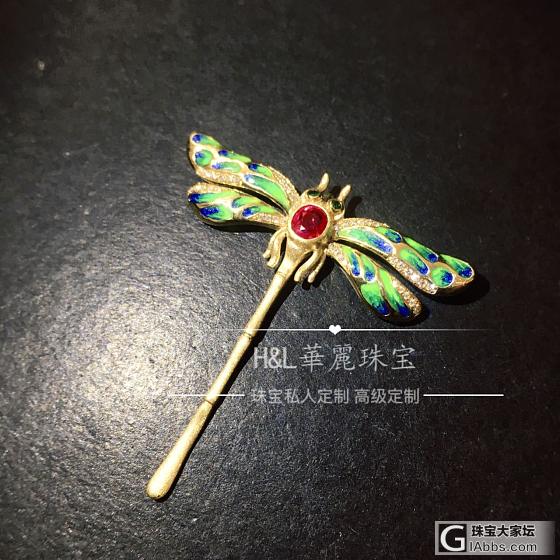 新养的蜻蜓漂亮吗？_彩色宝石胸饰