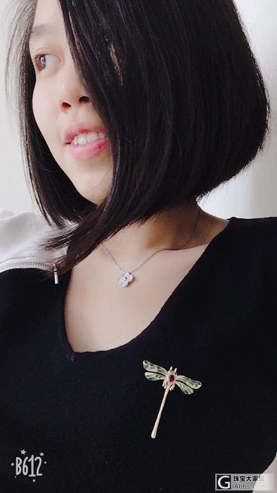 新养的蜻蜓漂亮吗？_彩色宝石胸饰