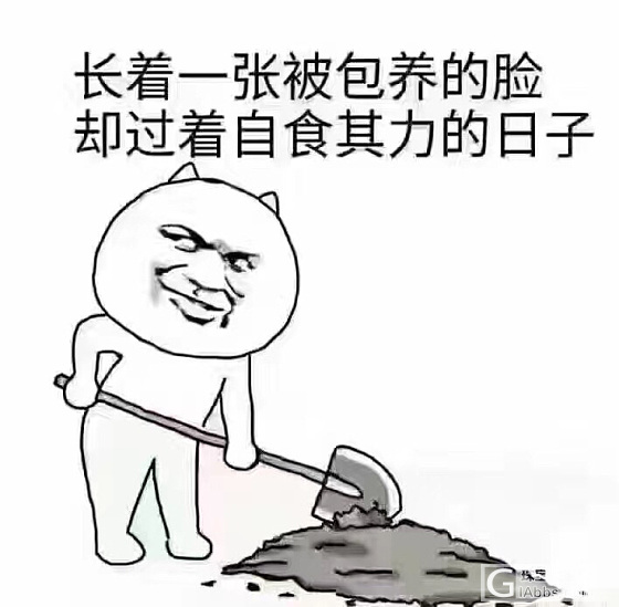 招金家金珍珠链和金抽拉_手镯金