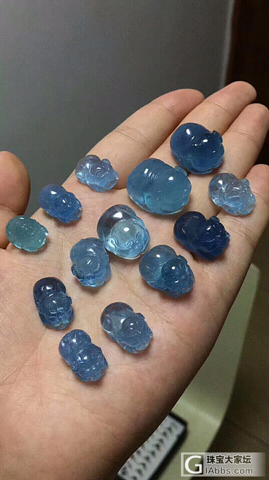 你是一只猪_海蓝宝