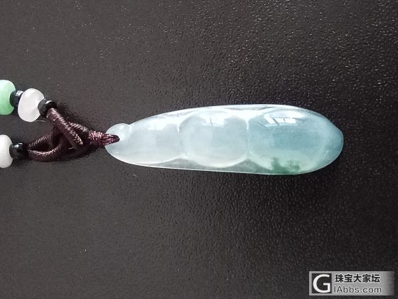 豆子豆子你能发芽吗？_翡翠