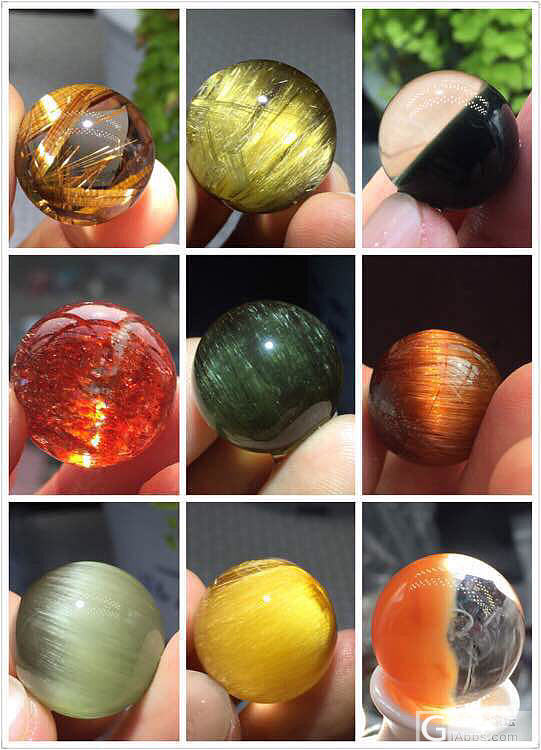 多宝_多宝