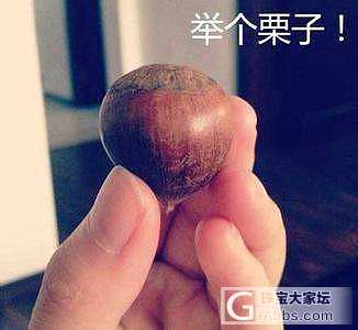 论坛的板块是乱搞的_站务