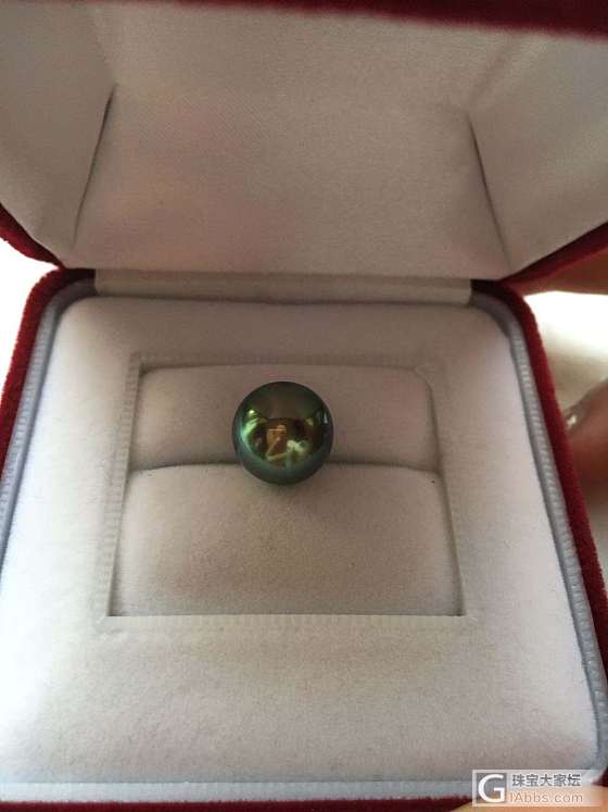 又一个大溪地，不过是伴绿伴蓝色晕彩_珍珠