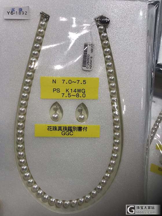好久没来了_珍珠
