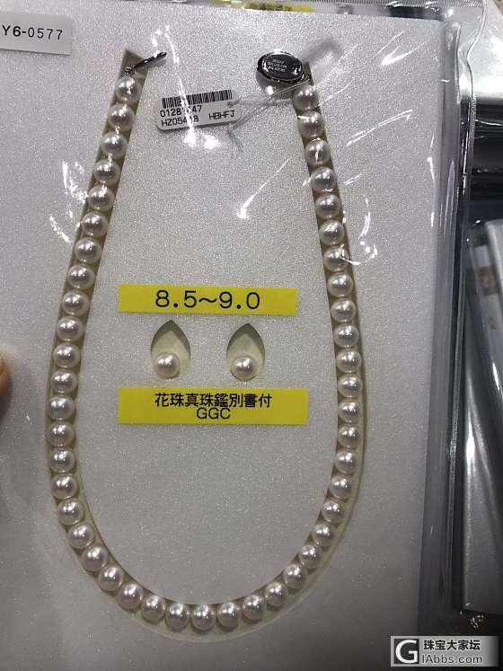 好久没来了_珍珠