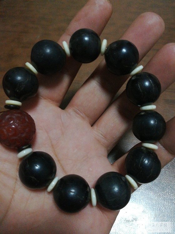 养了只老鼠，便宜又好玩，感觉挺不错_珠串菩提子