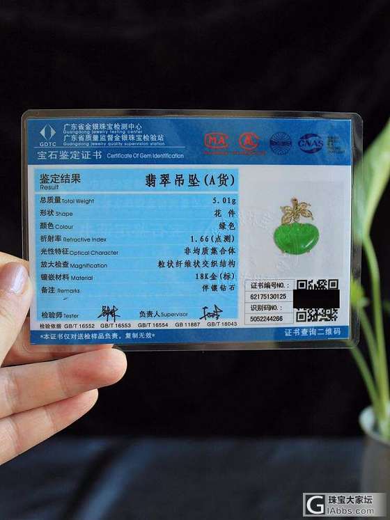 【玥府】天然A货翡翠 正阳绿翡翠如意吉祥果吊坠_翡翠