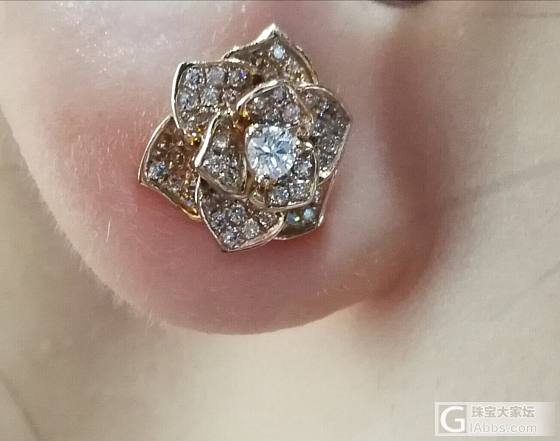 大家看看这款漂亮吗?_钻石耳钉