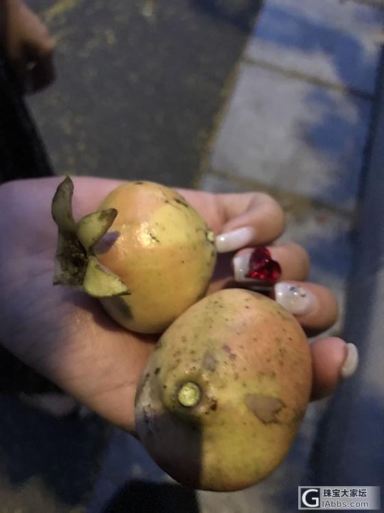 饭后甜点_美食