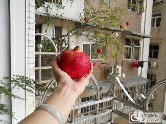 饭后甜点_美食