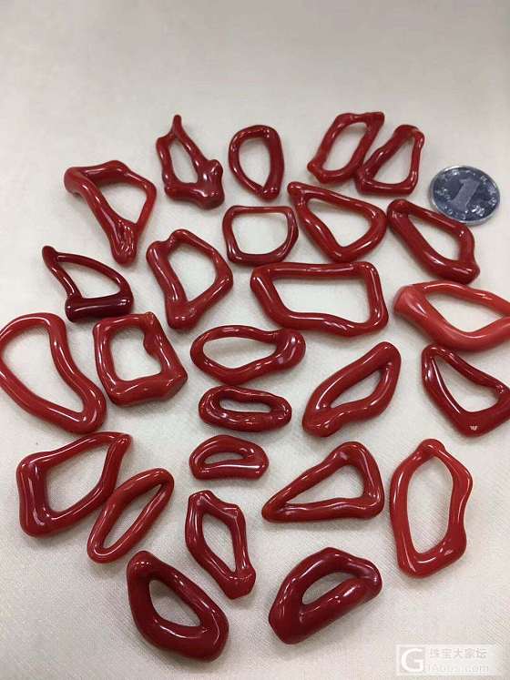 珊瑚圆圈_珊瑚