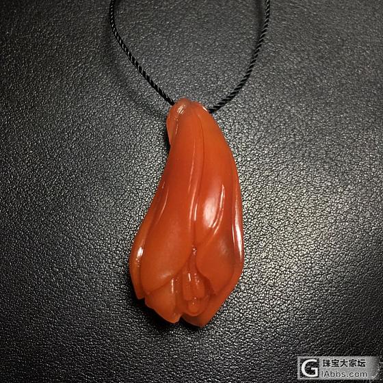 又是玉兰花_南红