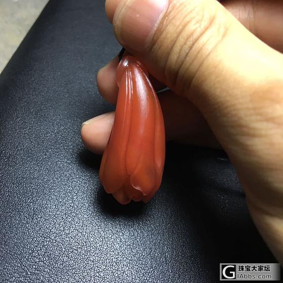 又是玉兰花_南红