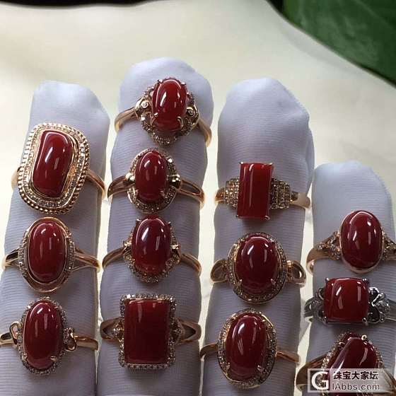珊瑚戒指_戒指珊瑚