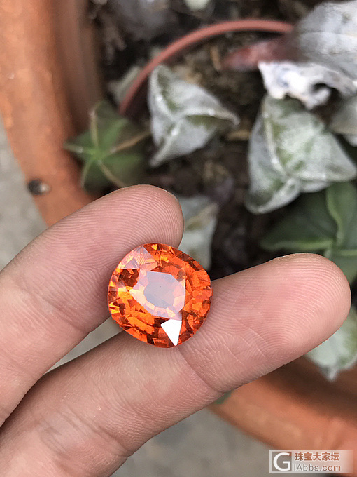 15ct 晶体净度火彩极品芬达_刻面宝石芬达